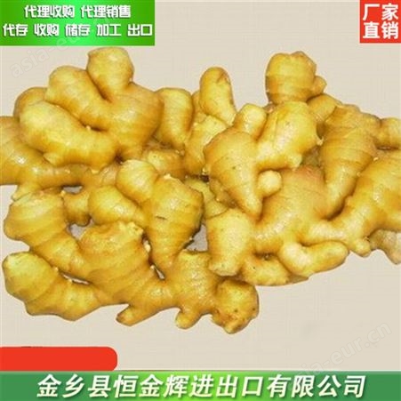 山东生姜收购 蔬菜食用生姜代存 可按照需求定制包装生姜